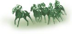 horse picture